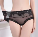 Net Panty Imported Lace Comfortable Underwear Net Panty for Women(One Piece) - Image 3