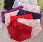 Net Panty Imported Lace Comfortable Underwear Net Panty for Women(One Piece) - Image 6