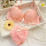 Women Push Up Bra And Panty Set Girl Floral Lace Underwear Set Underwire Brassiere - Image 2