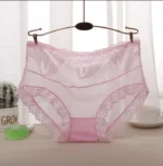 Net Panty Imported Lace Comfortable Underwear Net Panty for Women(One Piece) - Image 7