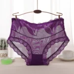 Net Panty Imported Lace Comfortable Underwear Net Panty for Women(One Piece)