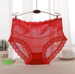 Net Panty Imported Lace Comfortable Underwear Net Panty for Women(One Piece) - Image 9