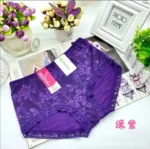 One Piece Imported Premium Lace Breathable Underwear Comfortable Panty for Women