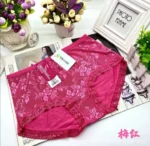 One Piece Imported Premium Lace Breathable Underwear Comfortable Panty for Women - Image 9