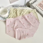 Imported Premium Comfortable Panty for Women (One Piece) - Image 3