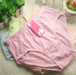 1 Piece Printed Cotton Panty For Women - Image 4