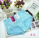 One Piece Imported Premium Lace Breathable Underwear Comfortable Panty for Women - Image 14
